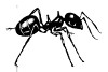 Stigmergic ant